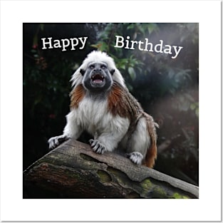 Birthday Monkey Posters and Art